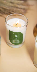 Scentful Living. 6oz. Candle. Fresh Bamboo